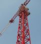 tower crane qtz250 (7030)
